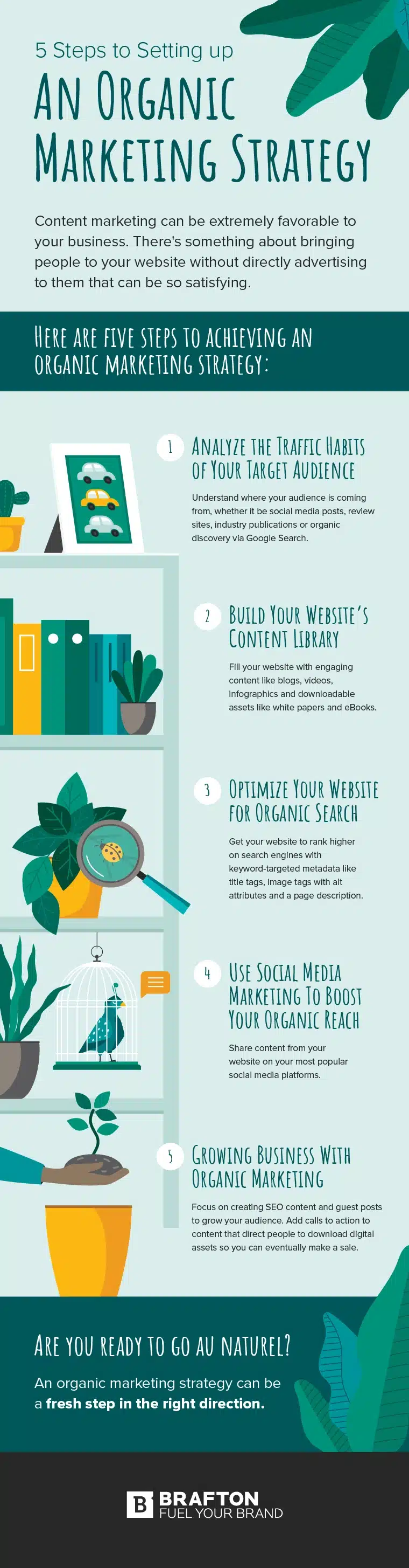 5 Steps to Achieve a Successful Organic Marketing Strategy for Your Business [Infographic]