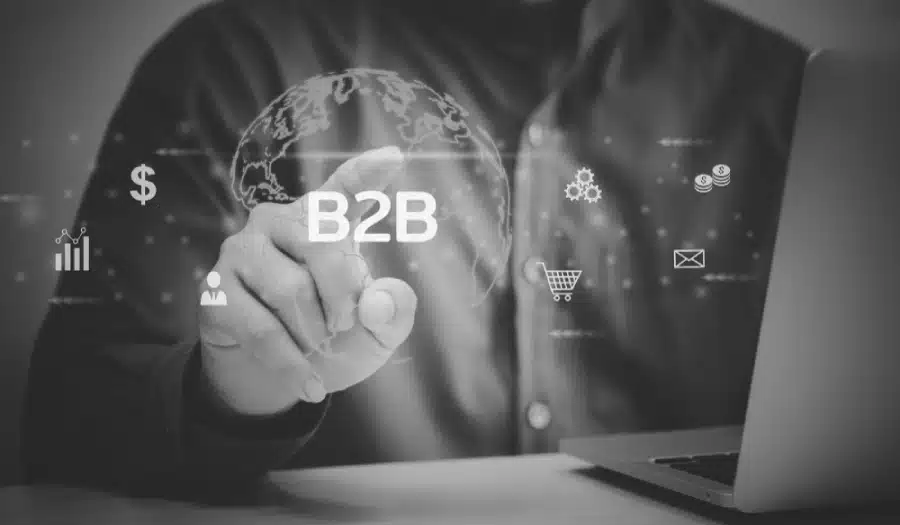 Why Every B2B Business Needs an eCommerce Website (1) Why Every B2B Business Needs an eCommerce Website (1)